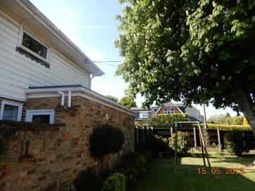 back garden with partial image a horse chestnut tree